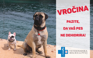 Jumbo plakat - Veterinarska bolnica Ptuj